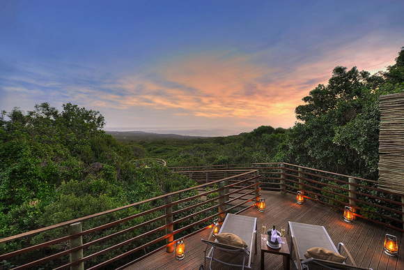 Luxury suites-cottages-full service-South Africa-Walker Bay-Gaansbaai-Grootbos