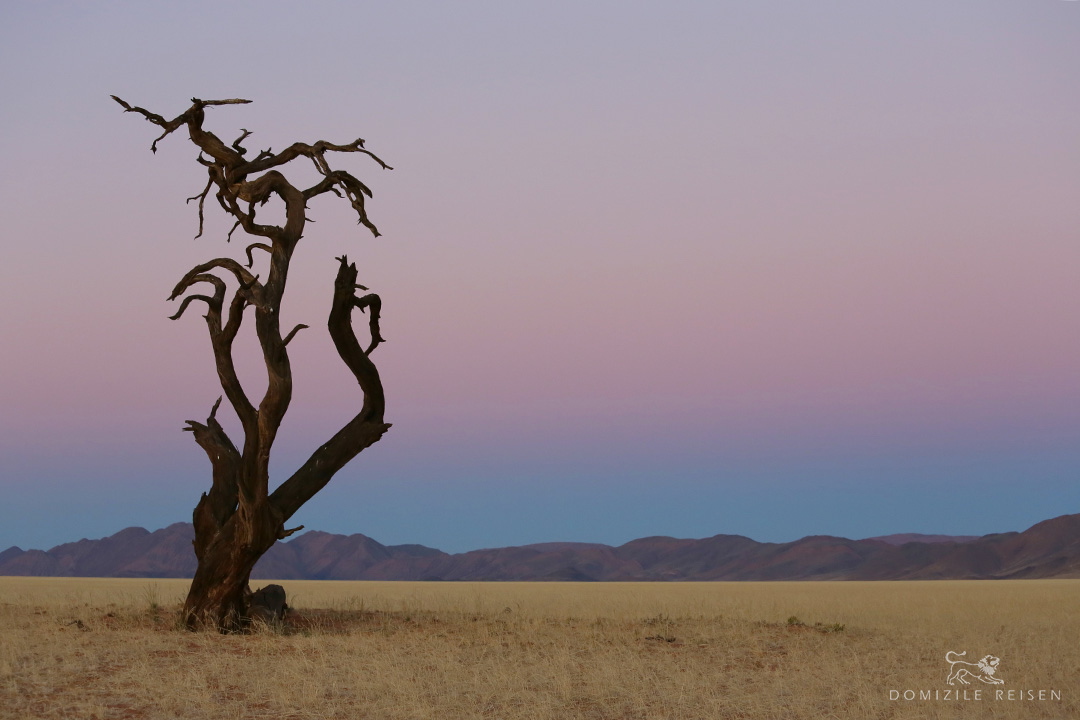The South of Namibia: vast country, unspoiled nature, rough Atlantic, diverse wildlife