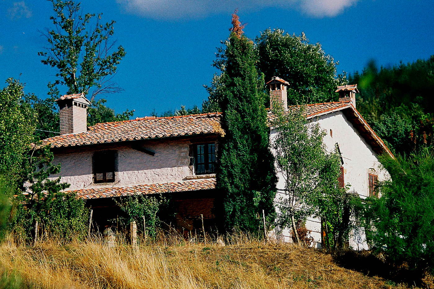 rental villa-holiday rental-vacation villa in Italy-Tuscany