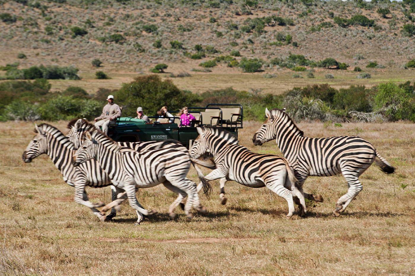 Luxury safari villa in private Big Five Reserve Eastern Cape South Africa