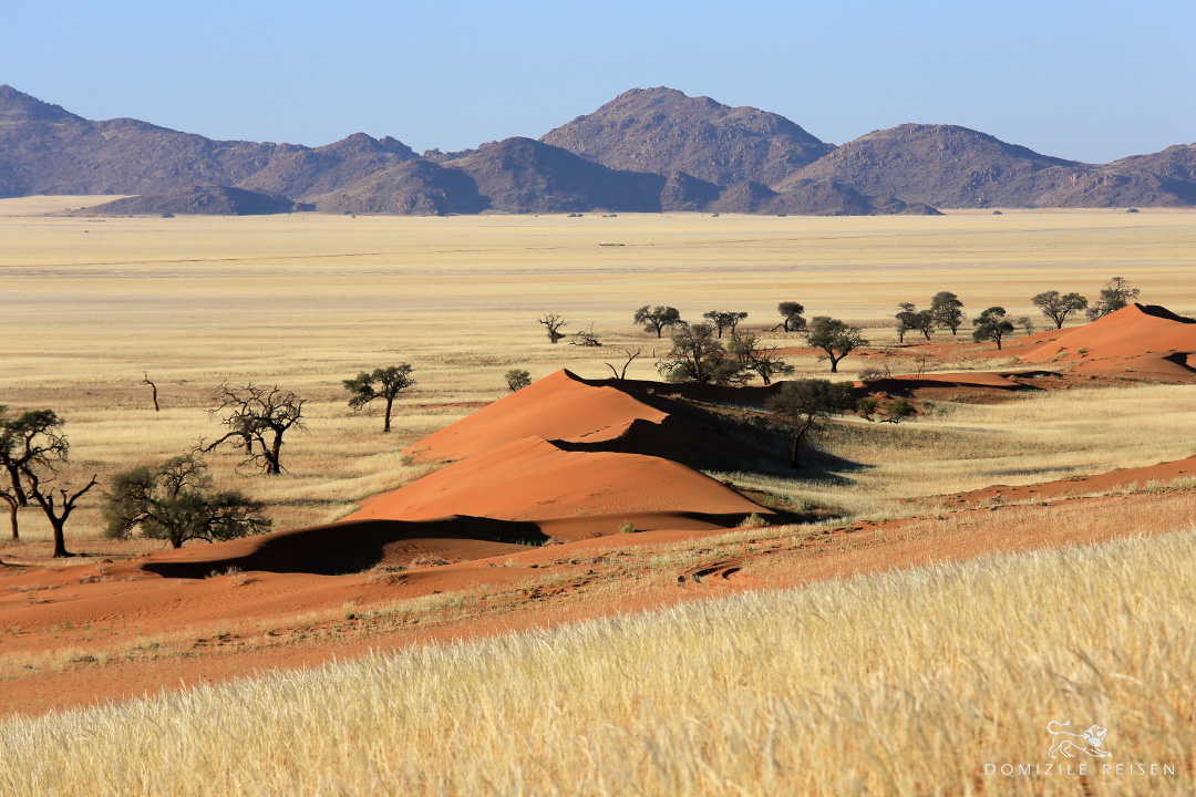 Namibia and Botswana - Rental car round trip and Fly-In Safari